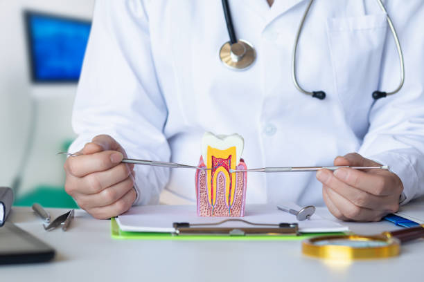 Best Emergency Treatment for Toothache in Basehor, KS